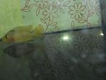 DSCN0068