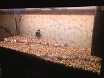 PIC 0687