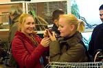 IMG 0403