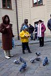 IMG 0263