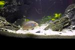IMG 0061