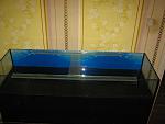 IMG 6111