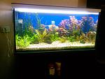 Photo 0011