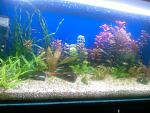 Photo 0009