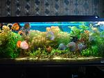 Dsc001401