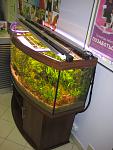 IMG 0462