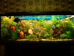 DSC00191