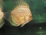 IMG 4379
