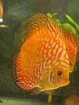 IMG 4759