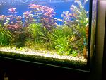Photo 0016
