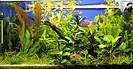 60L