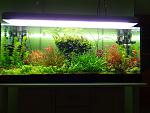 DSC00199