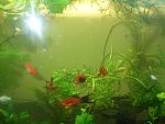 DSCF9438