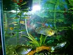 PIC 0961