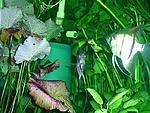 PIC 03854