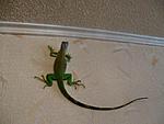 IMG 0758