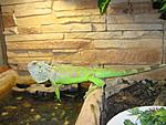IMG 0980