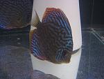 IMG 3472