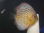 IMG 3465