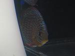 IMG 3474