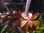 DSC01979