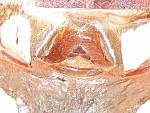 IMG 1641