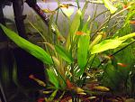 DSCF0414 
. - .