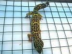 IMG 4049