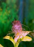 IMG 6519