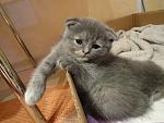 DSC01964
