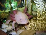 IMG 6719