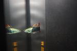 IMG 8891