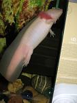 IMG 6717