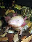IMG 6712