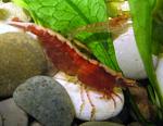 IMG 6589