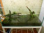 DSCN0990~1