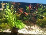IMG 0107[1]