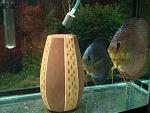 IMG 5187