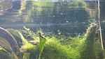 IMAG0086