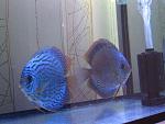 IMG 5259