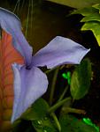 DSCN2088 l