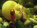 IMG 6261