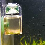  Sera Test CO2