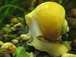 IMG 6260