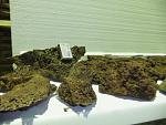 DSCF1094