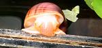 IMG 6838