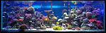 sea tank