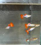 DSCN3449    