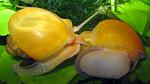 IMG 6541