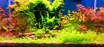 23 . - Hagen Fluval EDGE